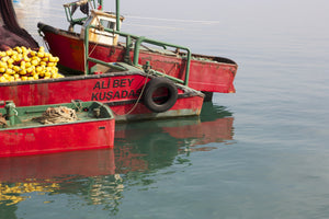 Fishing boat, Kuşadası, Turkey