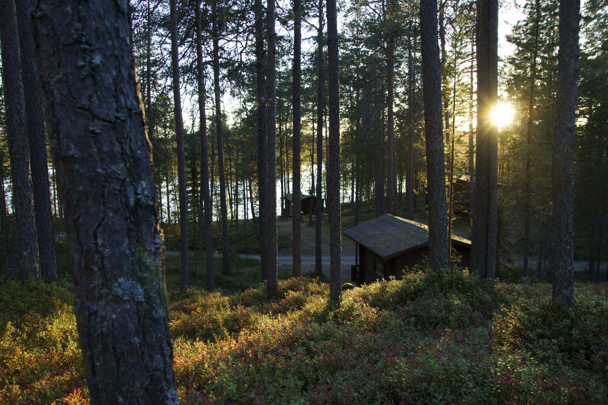 Viipusjärvi, Ruka, Finnish Lapland